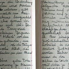 bu-11380_bis_450-0xxiii maskentänze,aus koch-grünberg